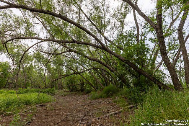 Listing photo id 2 for 00 Shepherd Rd