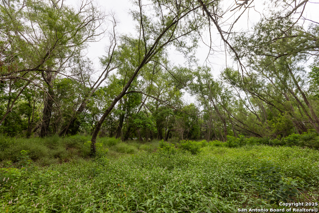 Listing photo id 3 for 00 Shepherd Rd