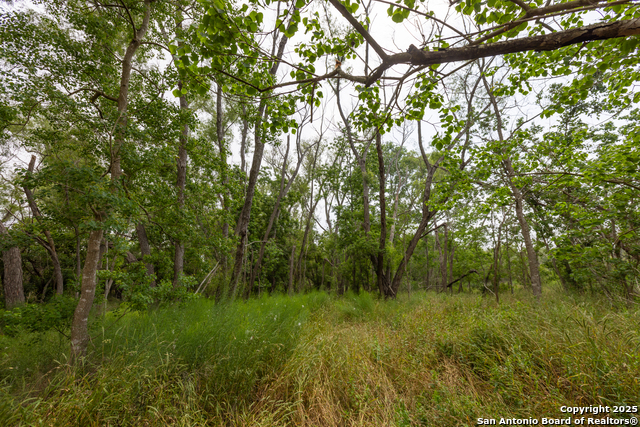 Listing photo id 4 for 00 Shepherd Rd
