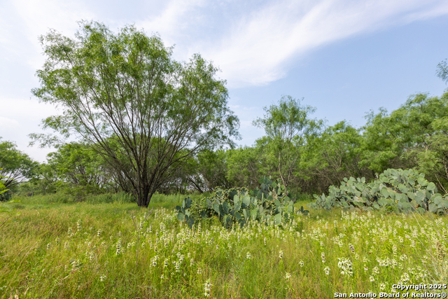 Listing photo id 7 for 00 Shepherd Rd