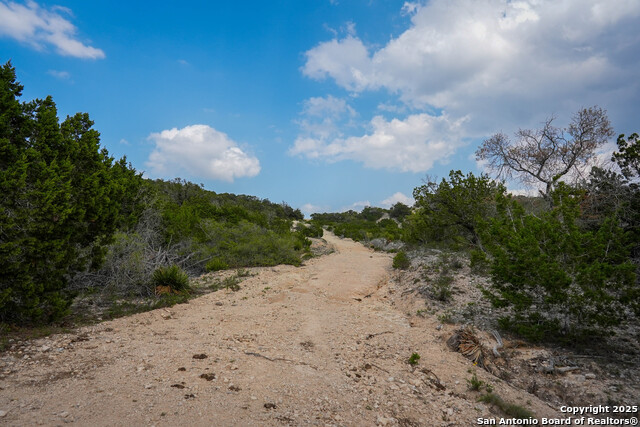 Listing photo id 9 for 3939 Bear Springs