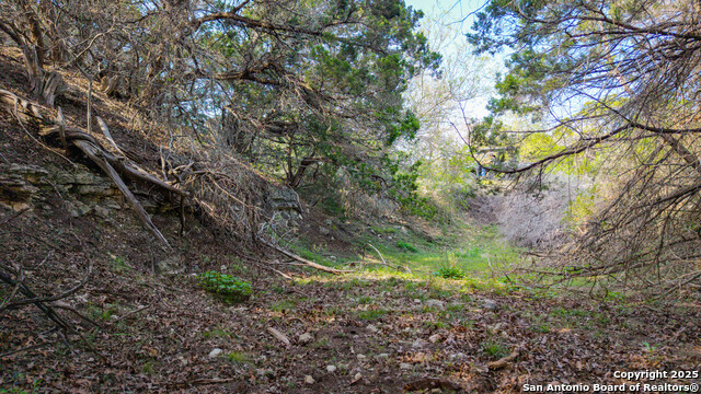 Listing photo id 10 for 3939 Bear Springs
