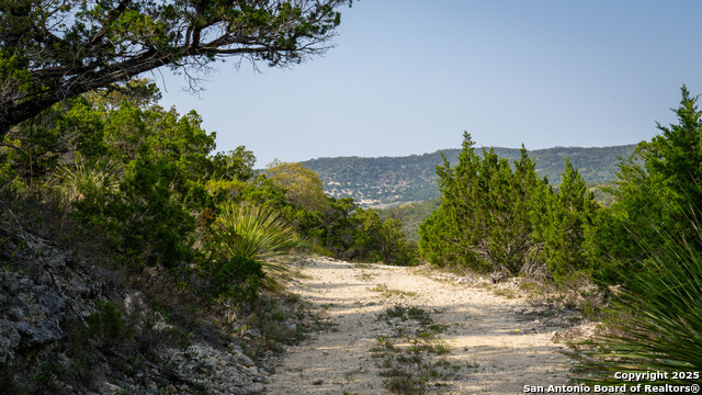 Listing photo id 21 for 3939 Bear Springs