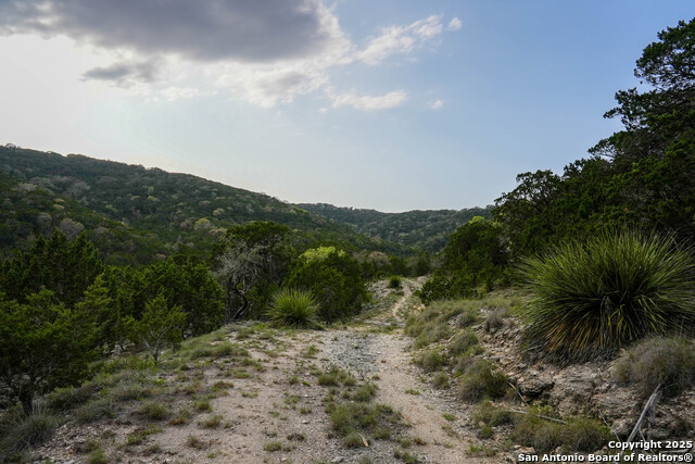 Listing photo id 23 for 3939 Bear Springs