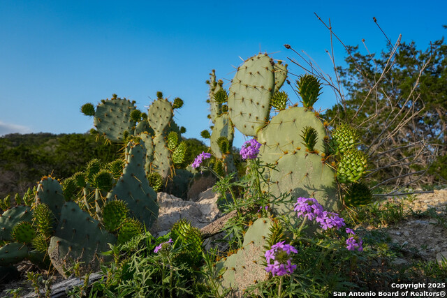 Listing photo id 29 for 3939 Bear Springs