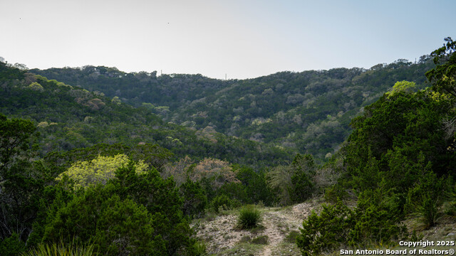 Listing photo id 35 for 3939 Bear Springs