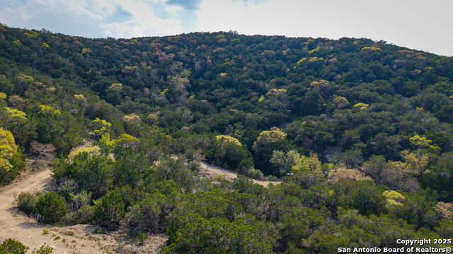 Listing photo id 7 for 3939 Bear Springs