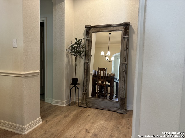 Listing photo id 12 for 23407 Treemont Park