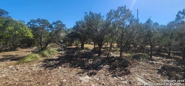 Details for 1626 Fuller Dr, Canyon Lake, TX 78133