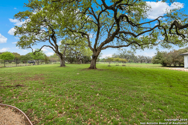 Image 31 of 39 For 10319 Oak Forest