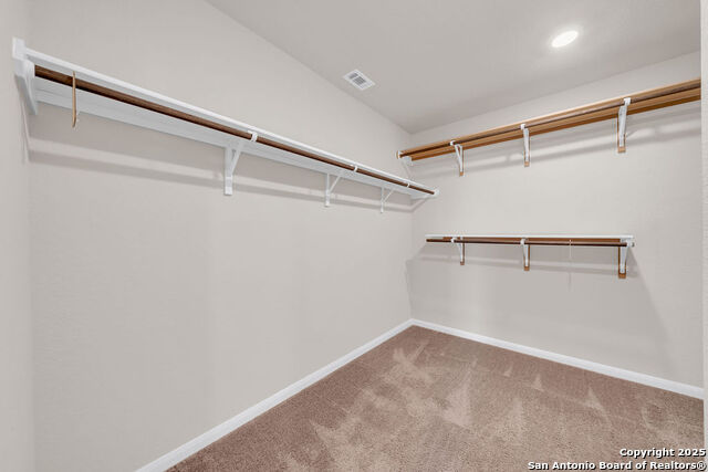 Image 20 of 36 For 31681 Untrodden