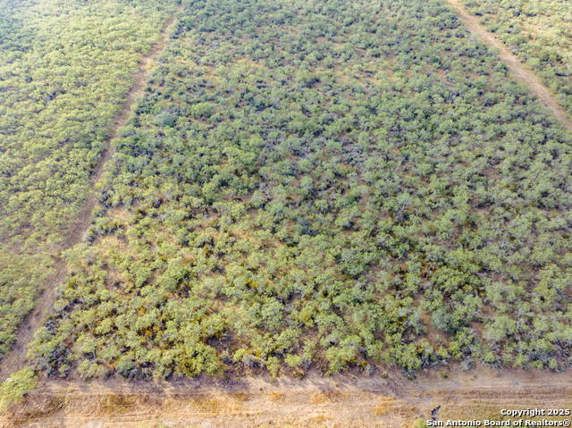 Listing photo id 4 for Tbd Fm 108