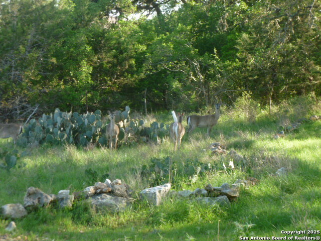 Image 11 of 24 For 1038 Bridlewood