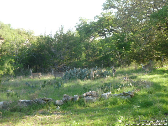 Image 12 of 24 For 1038 Bridlewood