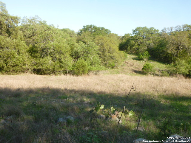 Image 13 of 24 For 1038 Bridlewood