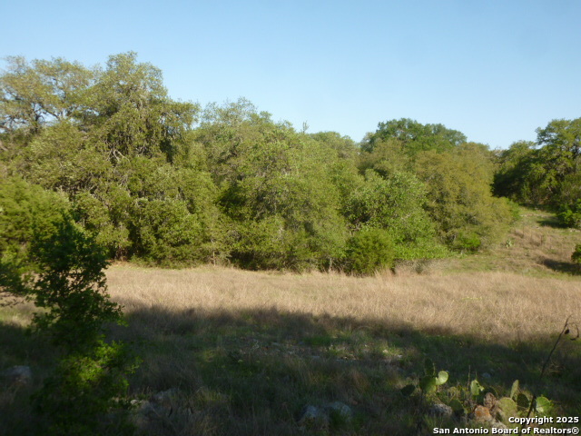 Image 14 of 24 For 1038 Bridlewood