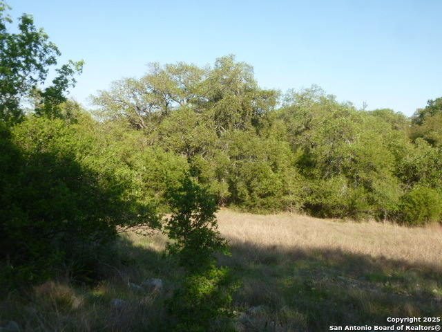 Image 15 of 24 For 1038 Bridlewood