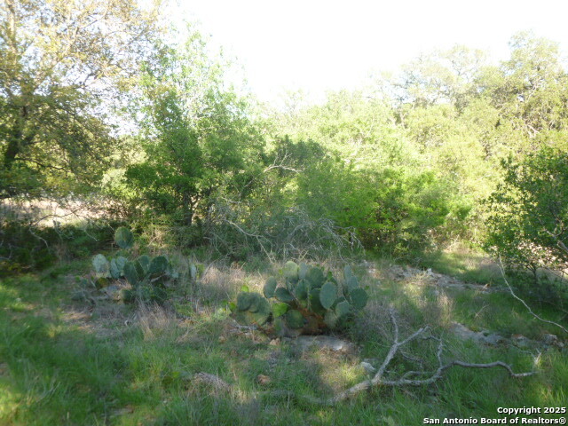 Image 16 of 24 For 1038 Bridlewood