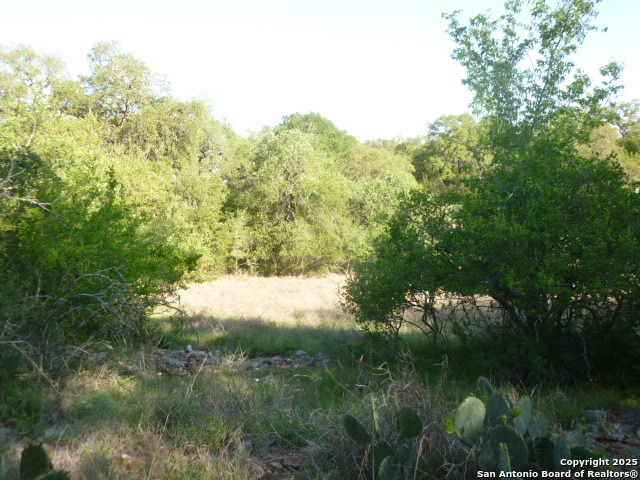 Image 17 of 24 For 1038 Bridlewood