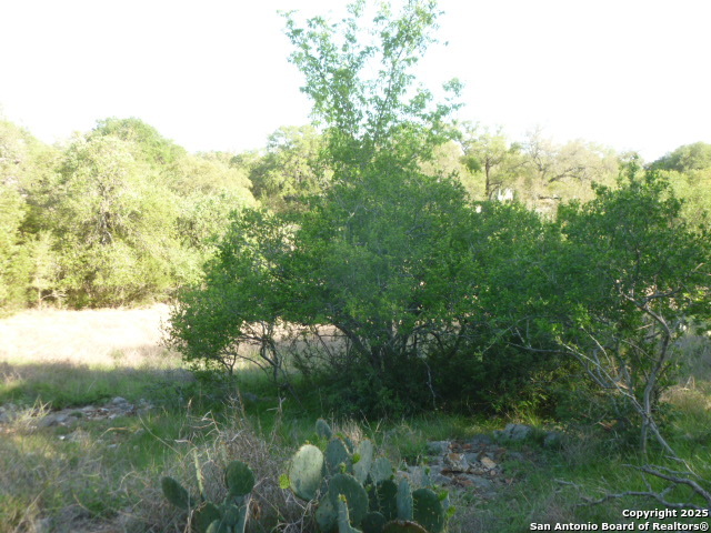 Image 18 of 24 For 1038 Bridlewood