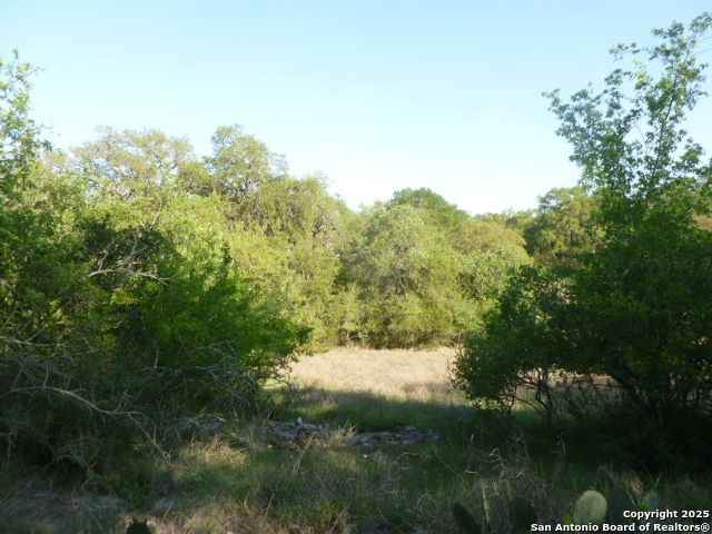 Image 19 of 24 For 1038 Bridlewood