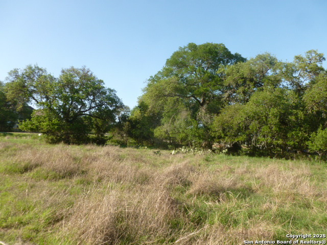 Image 24 of 24 For 1038 Bridlewood