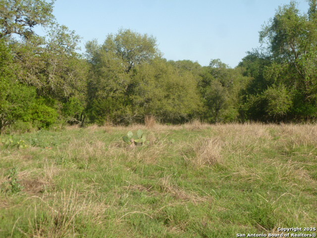 Image 5 of 24 For 1038 Bridlewood