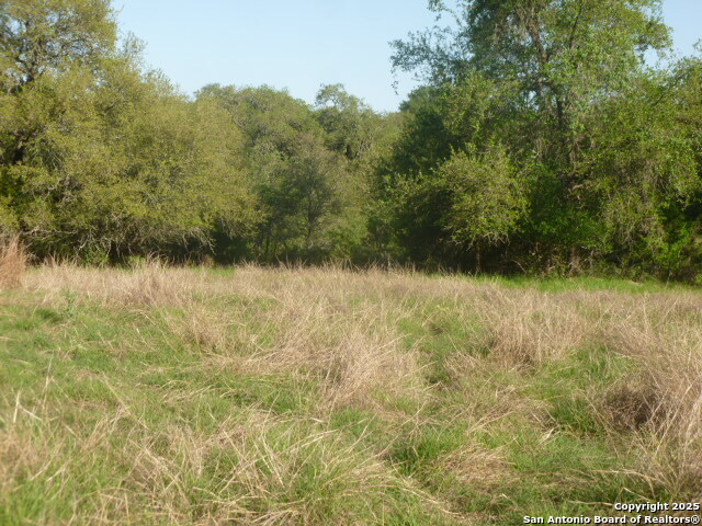 Image 6 of 24 For 1038 Bridlewood