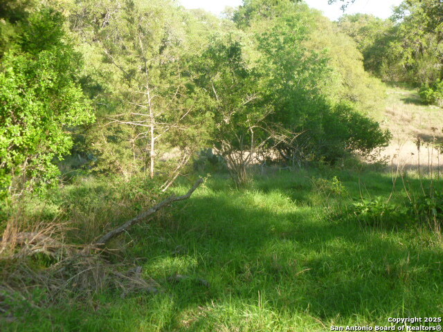 Image 7 of 24 For 1038 Bridlewood