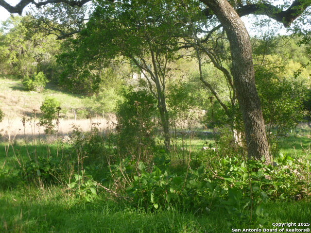 Image 8 of 24 For 1038 Bridlewood