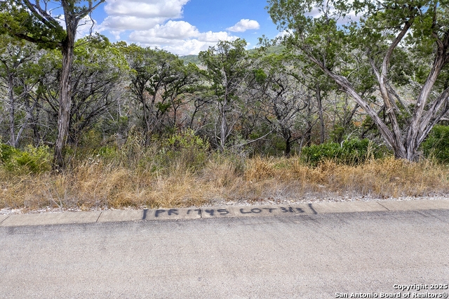 Image 4 of 10 For Lot 313 Pr 1745