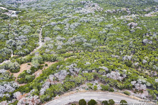 Image 5 of 10 For Lot 313 Pr 1745