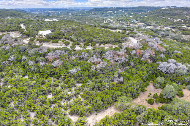 Image 8 of 10 For Lot 313 Pr 1745