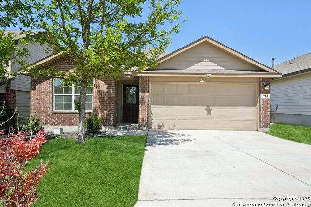 Details for 721 Brown Thrasher, San Antonio, TX 78253