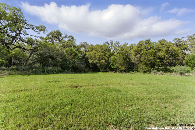 Listing photo id 9 for 7250 Fm 306