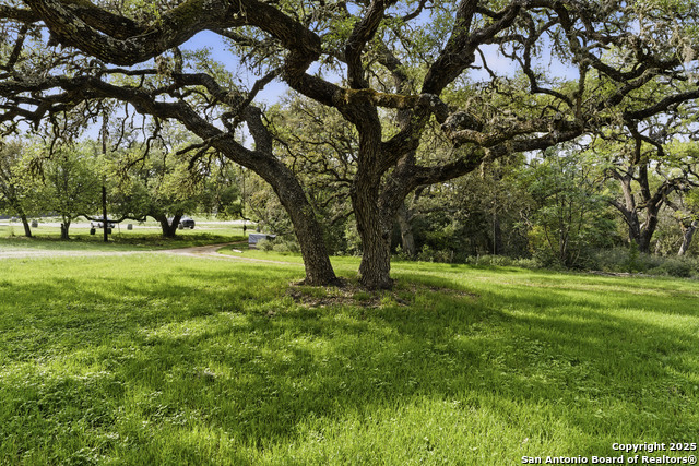 Listing photo id 7 for 7250 Fm 306