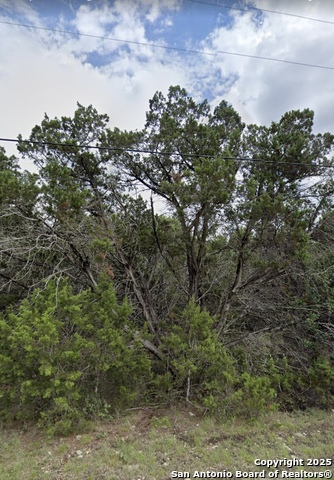 Details for 00 Bob White, Spring Branch, TX 78070