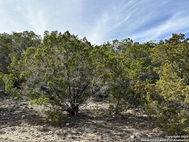 Listing photo id 0 for 00 Tbd  