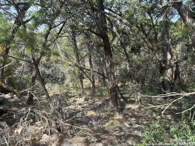 Listing photo id 2 for 365 Cedar Dr