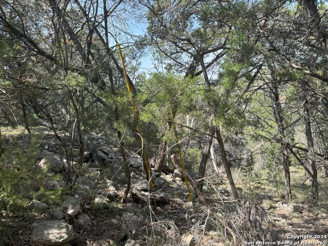 Listing photo id 3 for 365 Cedar Dr