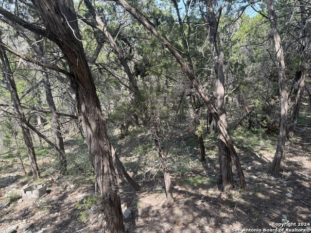 Listing photo id 4 for 365 Cedar Dr