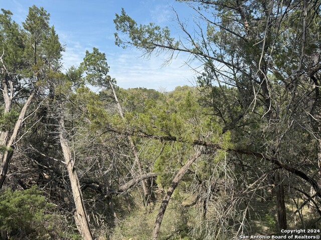 Listing photo id 5 for 365 Cedar Dr