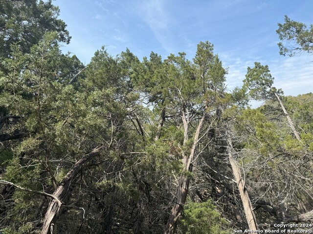 Listing photo id 6 for 365 Cedar Dr