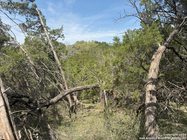 Listing photo id 7 for 365 Cedar Dr