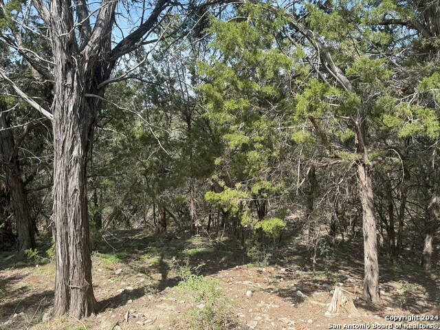 Listing photo id 8 for 397 Cedar Dr