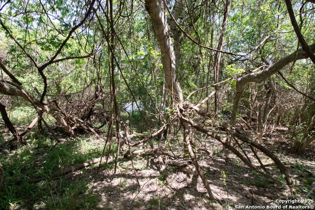 Image 4 of 8 For Lot:48 Guadalupe River Dr