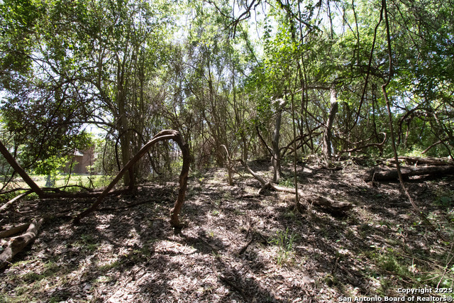 Image 6 of 8 For Lot:48 Guadalupe River Dr