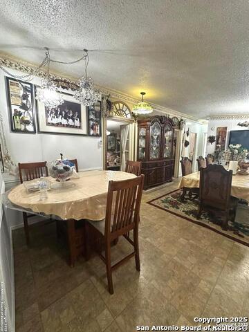Listing photo id 9 for 2427 Fm 462