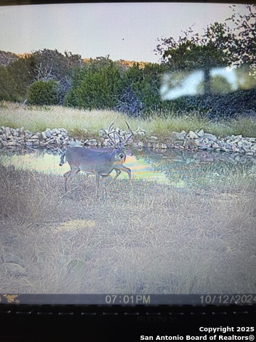 Listing photo id 52 for 00 Pr  