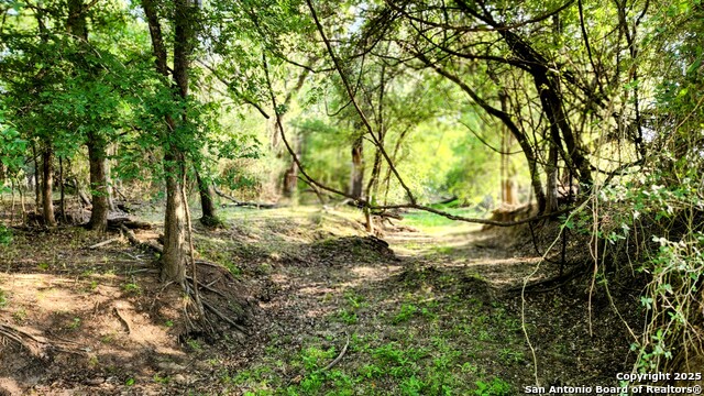 Image 17 of 23 For 575 Rohlf Rd.